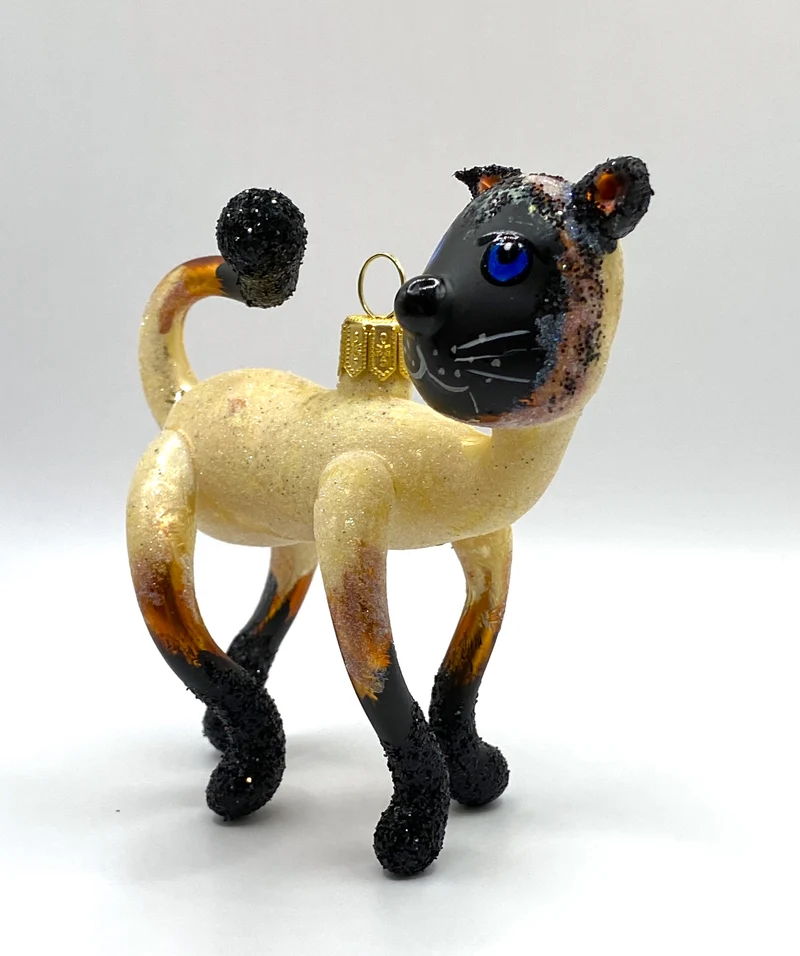 Witzige Siam-Katze