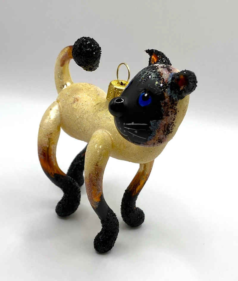 Witzige Siam-Katze