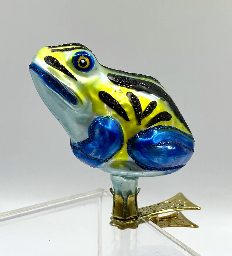 Regenwald - Frosch mit blauen Beinen