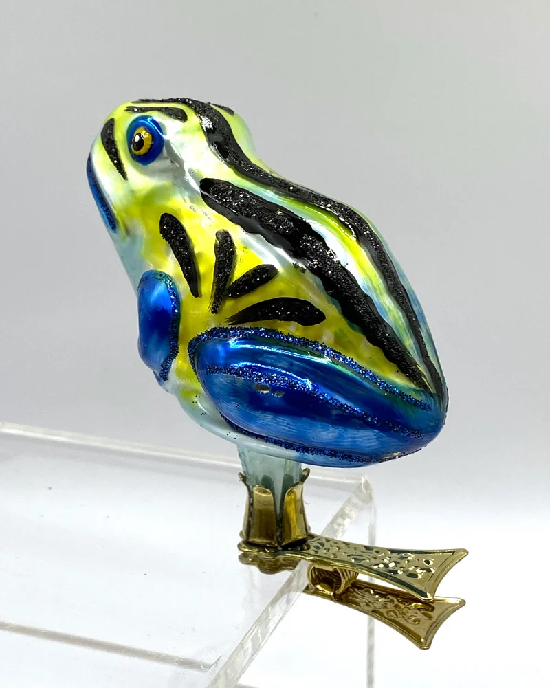 Regenwald - Frosch mit blauen Beinen