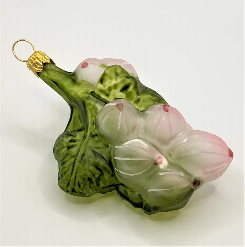 Stachelbeeren am Zweig, transparent