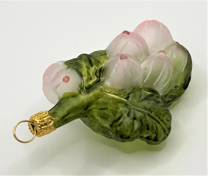 Stachelbeeren am Zweig, transparent