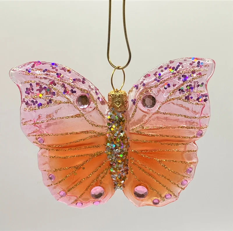 Schmetterling Apricot