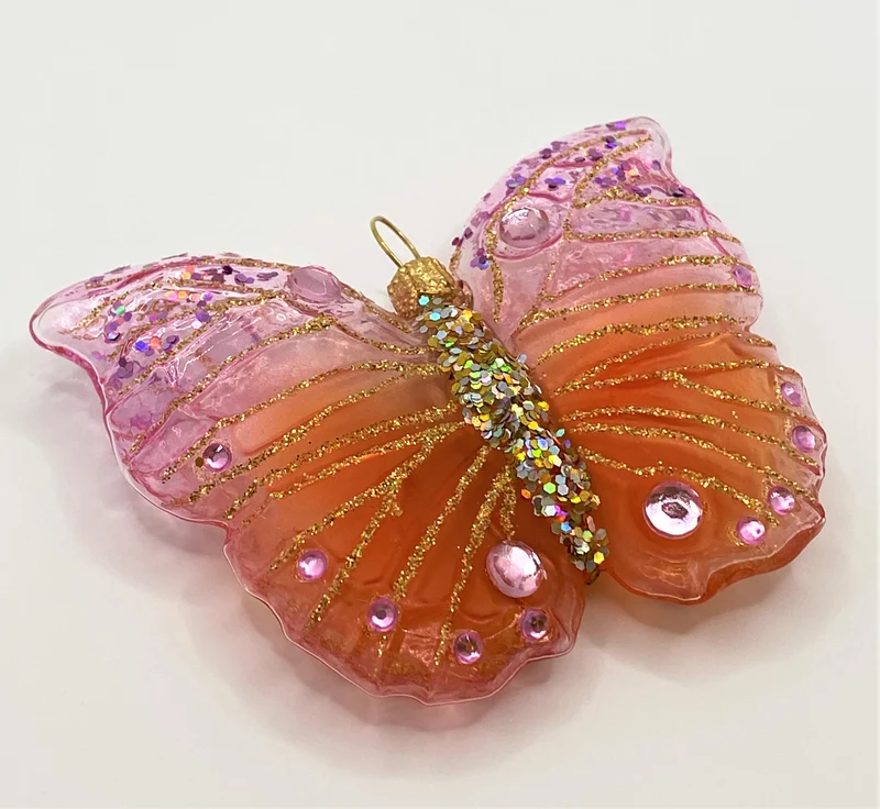 Schmetterling Apricot