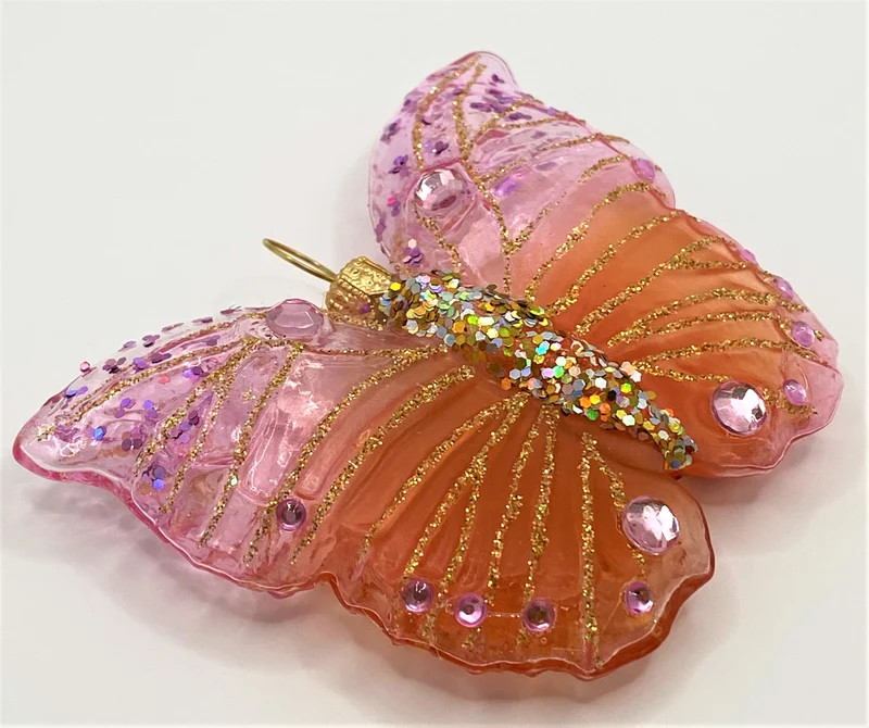 Schmetterling Apricot