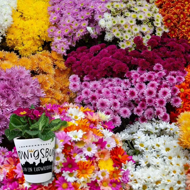 Ludwigsburg Skyline Blumentopf - Bin ein Ludwigsburger