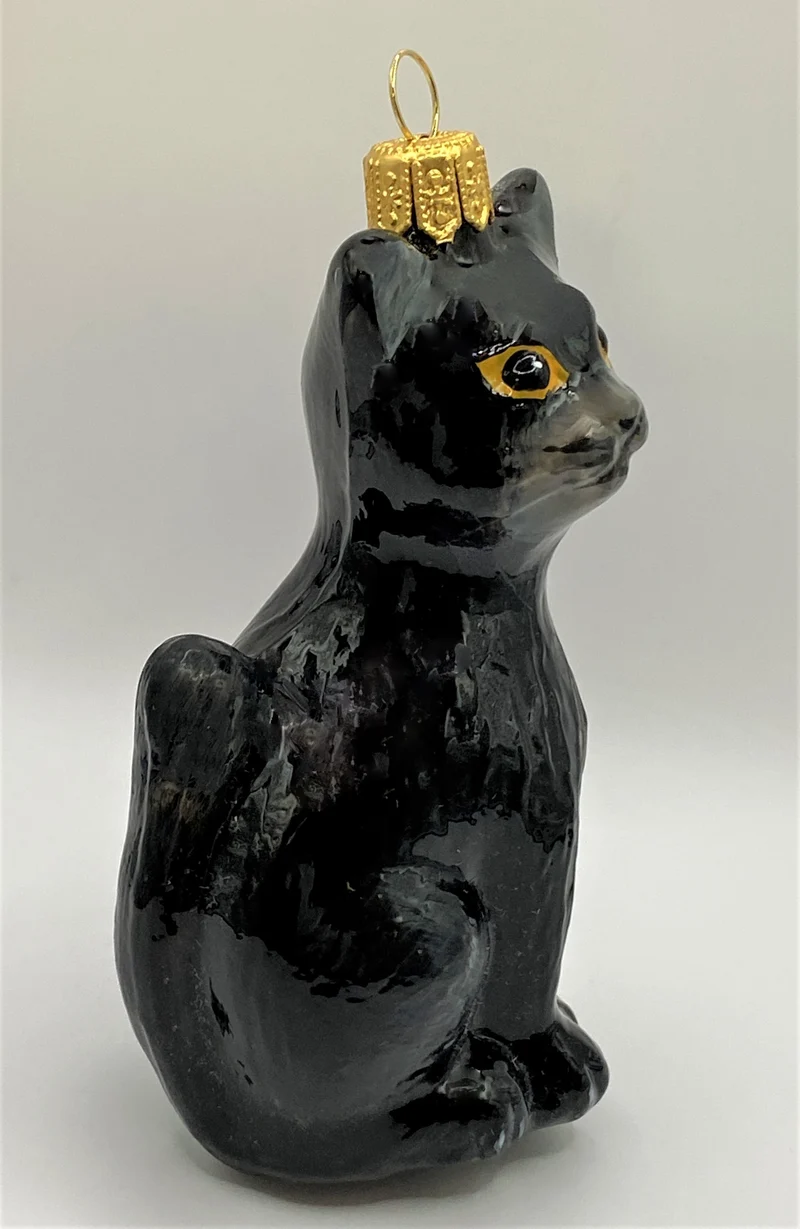 Schwarze Katze mit gelben Augen, KOMOZJA MOSTOWSKI