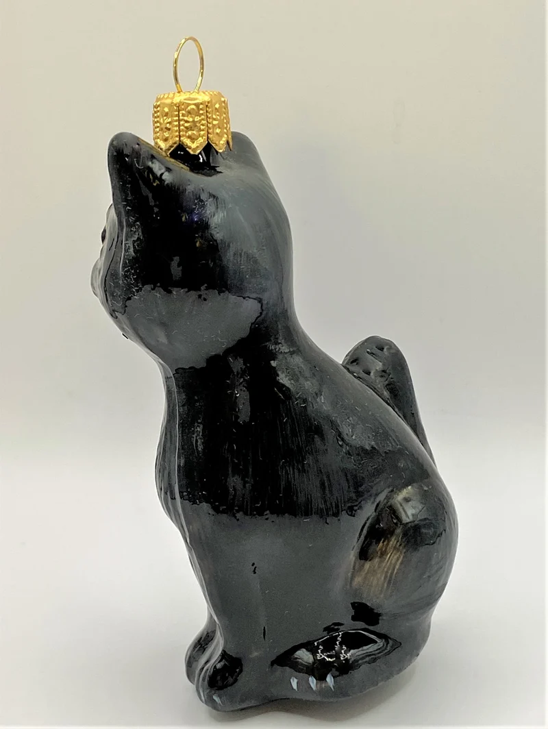 Schwarze Katze mit gelben Augen, KOMOZJA MOSTOWSKI