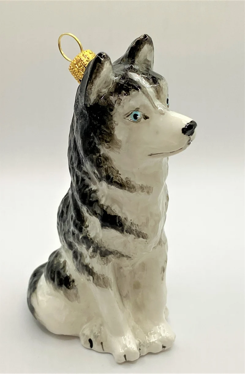 Sibirischer Husky