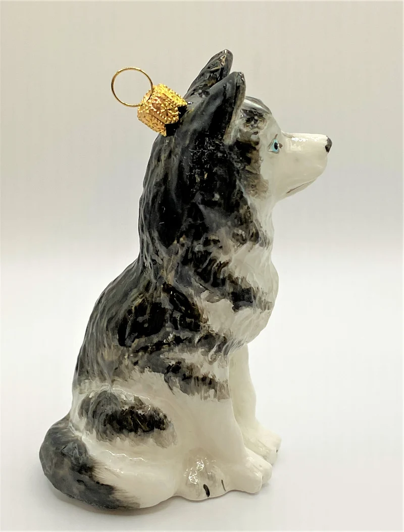 Sibirischer Husky