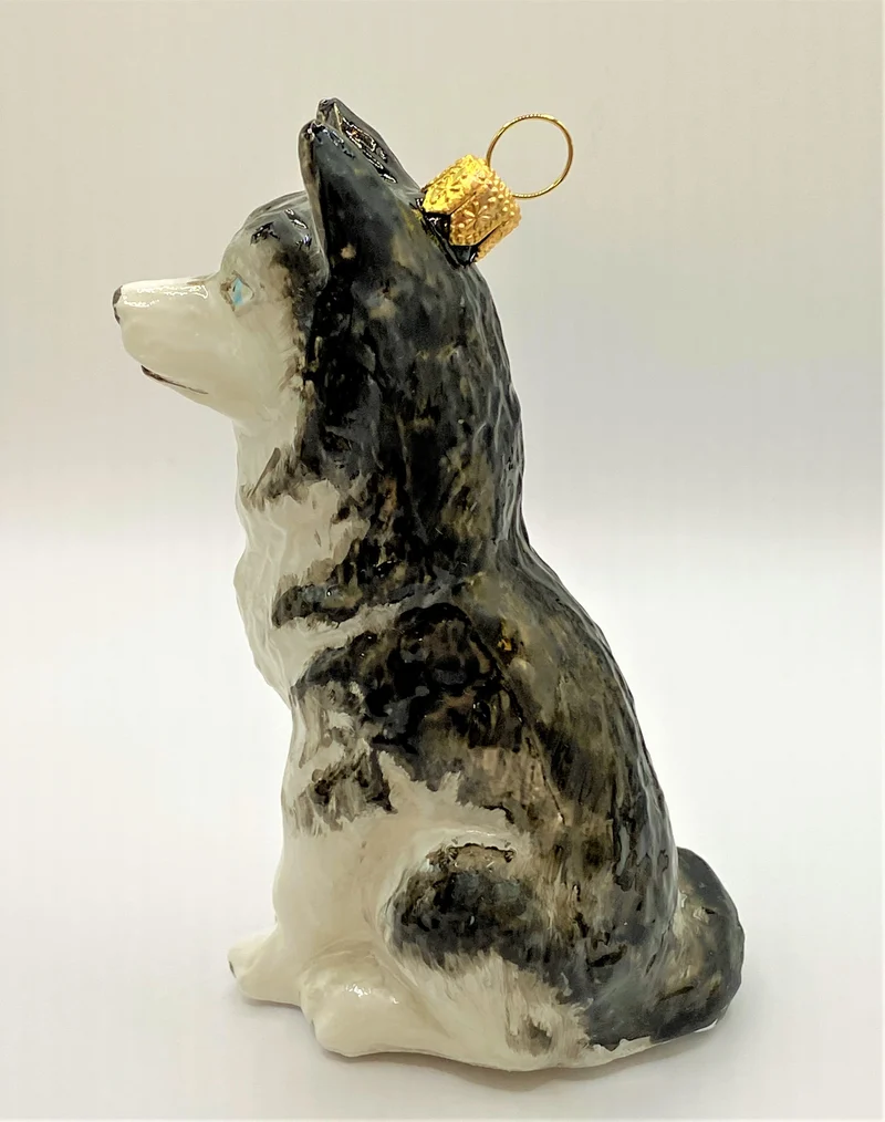 Sibirischer Husky