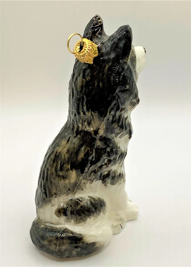 Sibirischer Husky