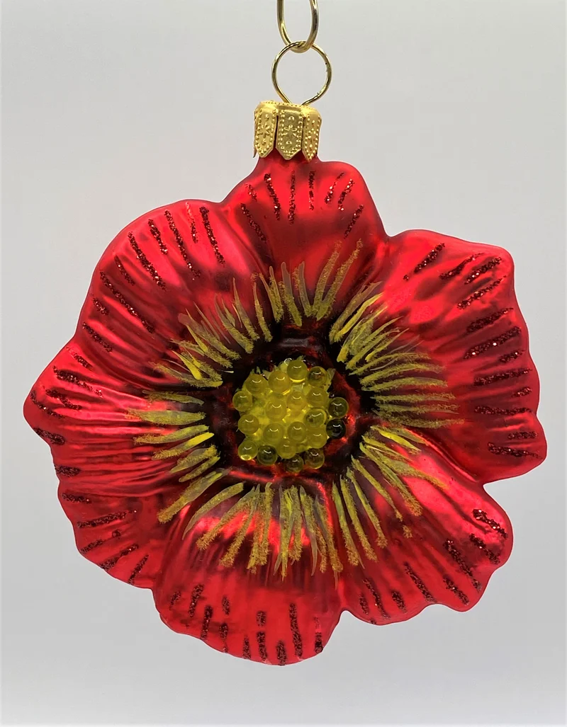 Rote Malvenblüte