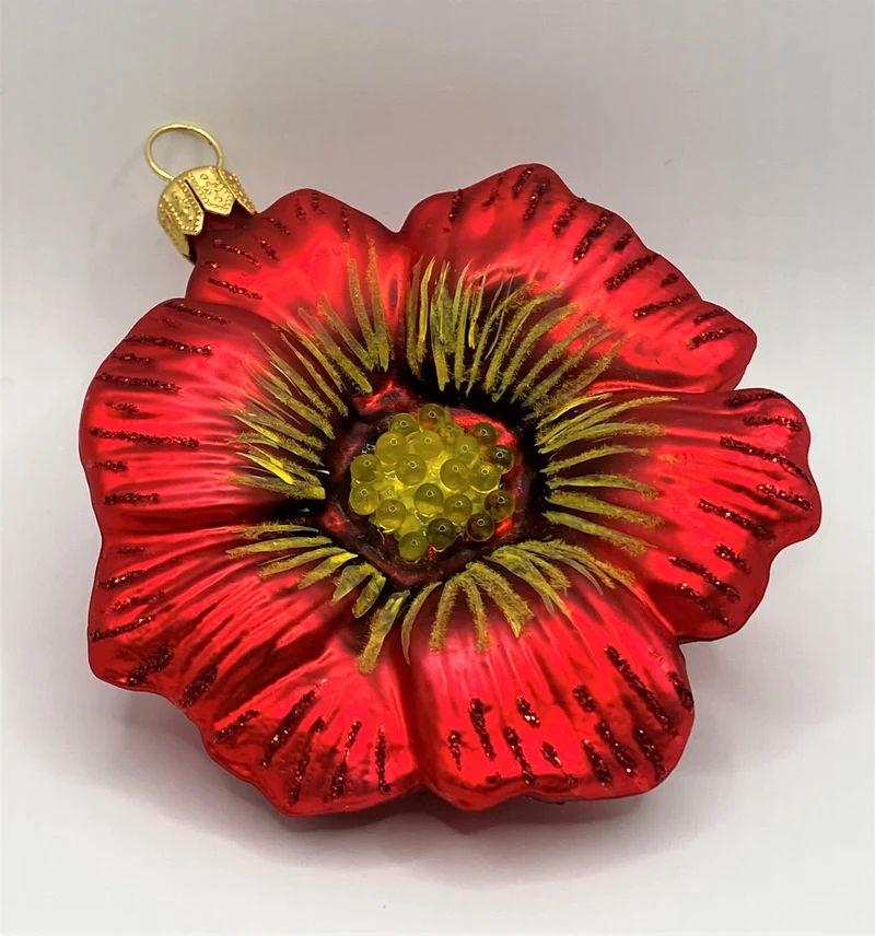 Rote Malvenblüte