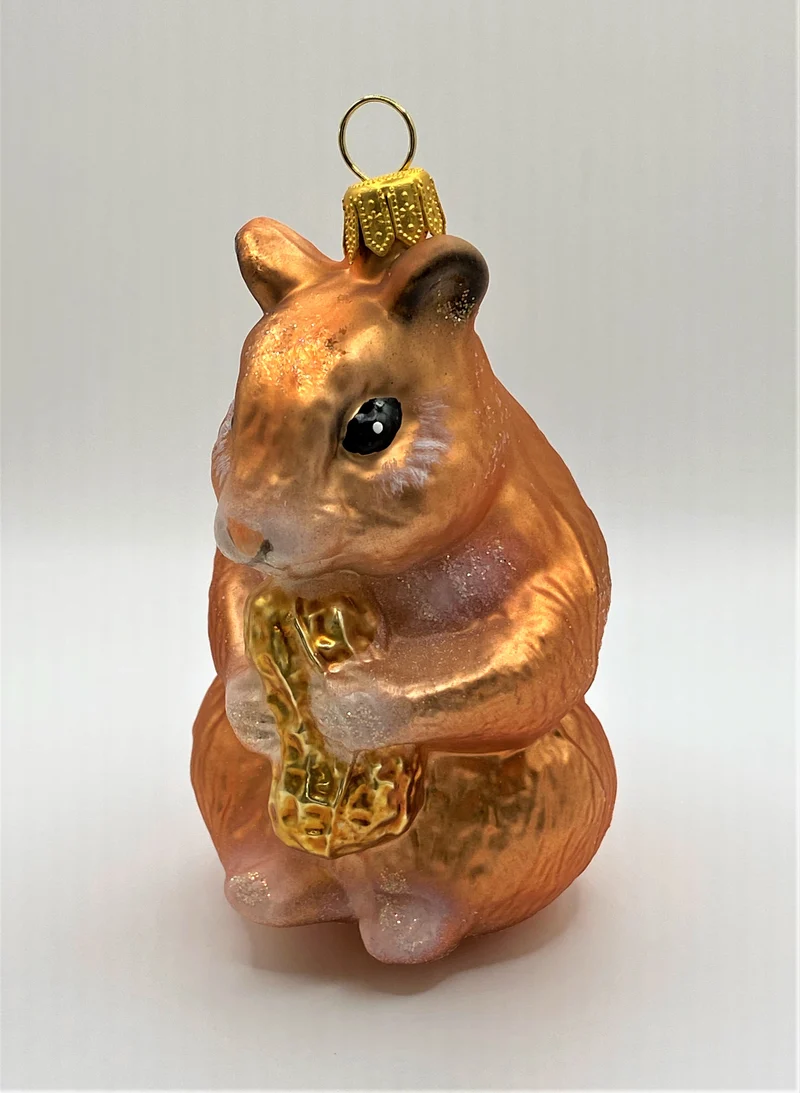 Hamster knabbert an der Erdnuss