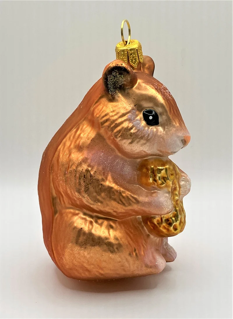 Hamster knabbert an der Erdnuss