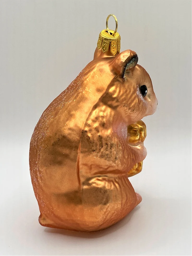 Hamster knabbert an der Erdnuss