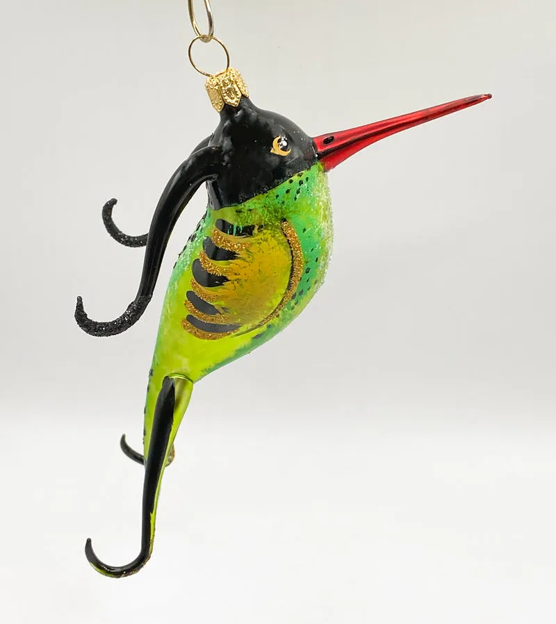 Paradiesvogel mit rotem Schnabel