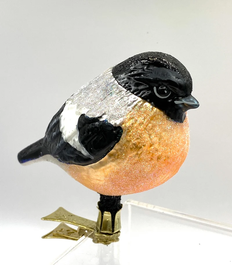 Dickes Dompfaff- Weibchen oder Gimpel-Weibchen