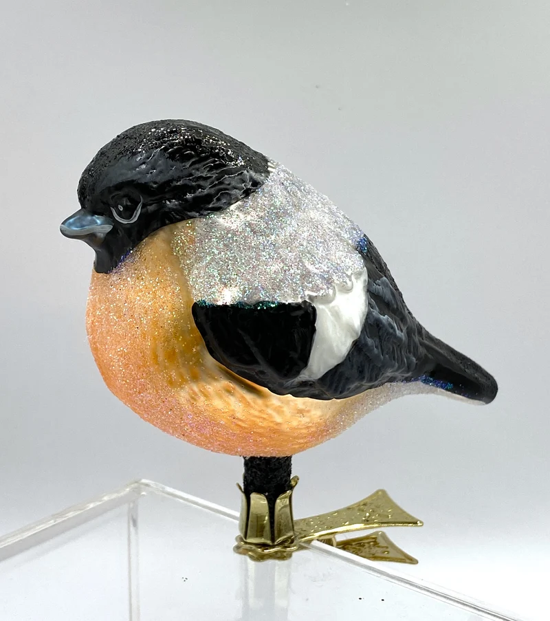 Dickes Dompfaff- Weibchen oder Gimpel-Weibchen