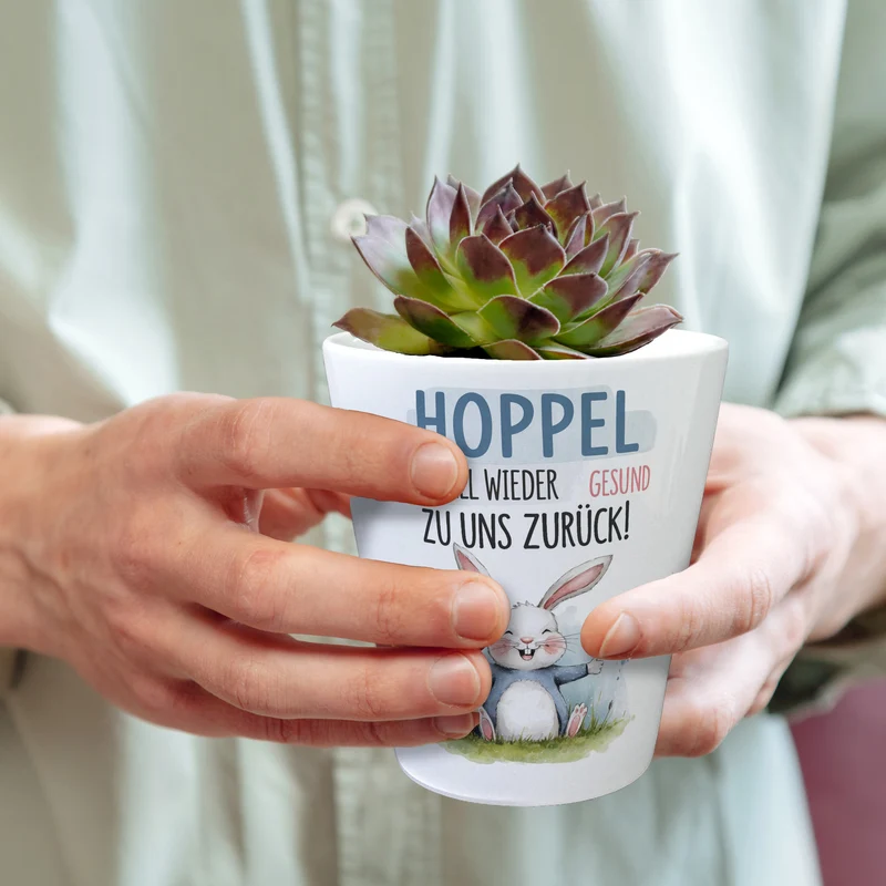 Hoppel schnell gesund zurück Blumentopf - Hase auf der Wiese