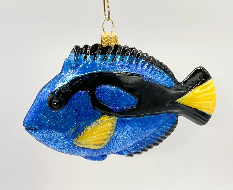 Paletten-Doktorfisch, Dory