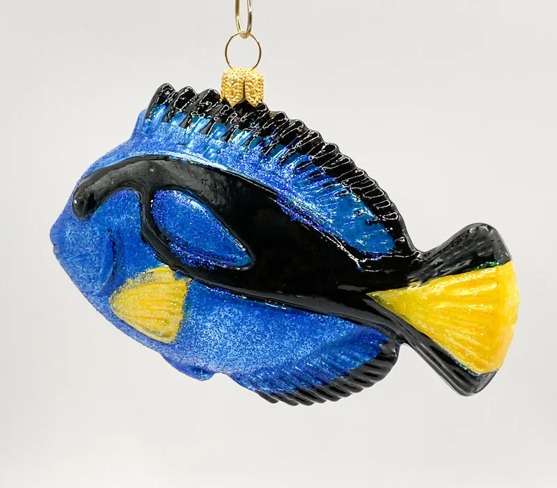 Paletten-Doktorfisch, Dory