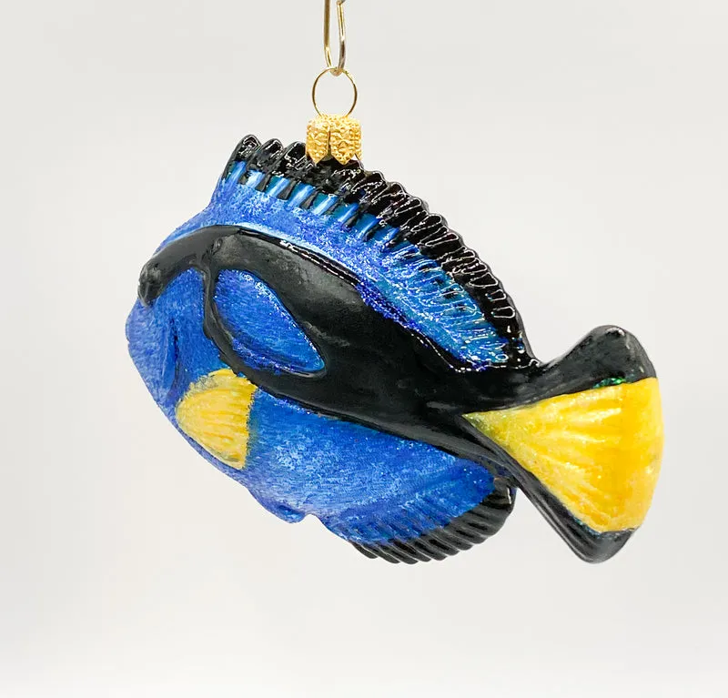 Paletten-Doktorfisch, Dory