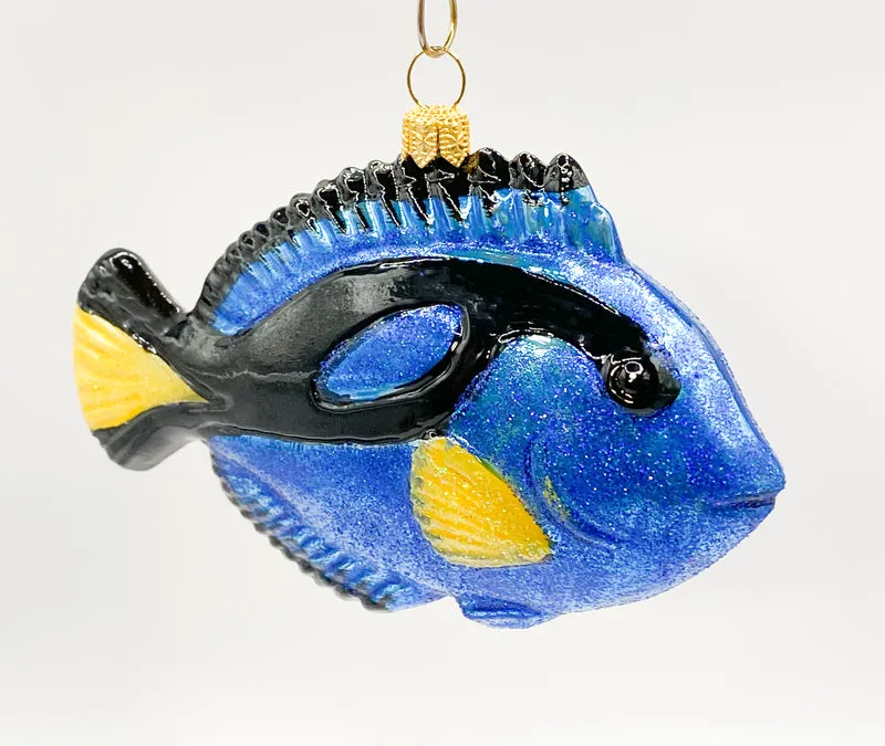 Paletten-Doktorfisch, Dory