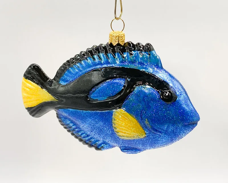 Paletten-Doktorfisch, Dory