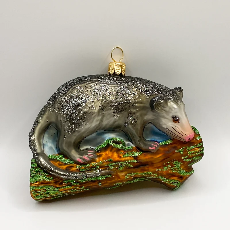 Opossum, Beutelratte