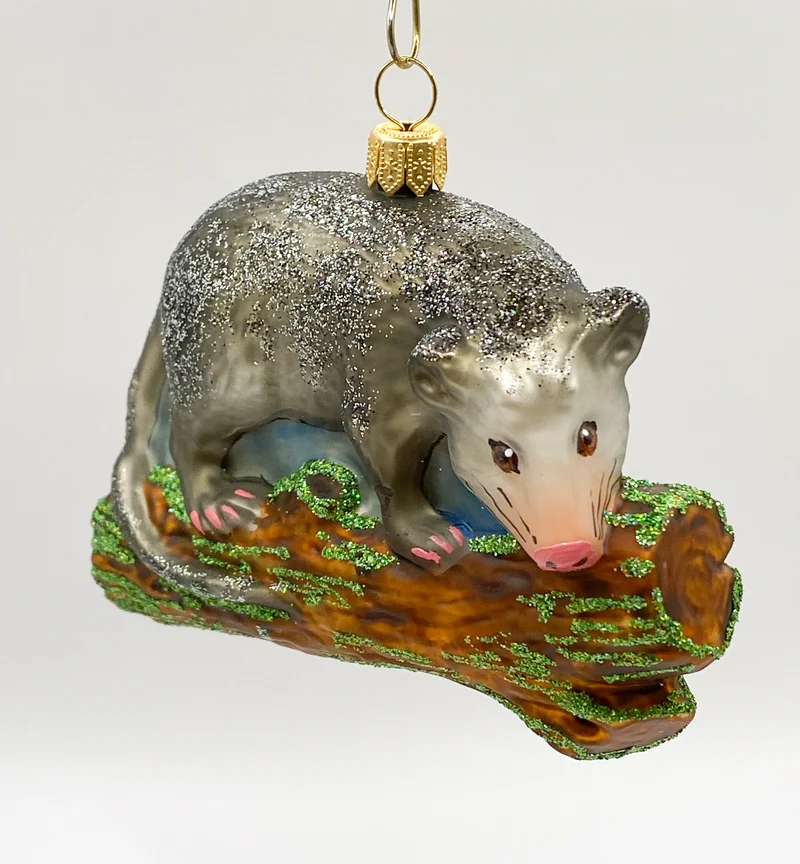 Opossum, Beutelratte