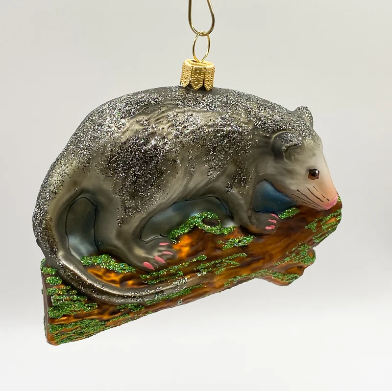 Opossum, Beutelratte