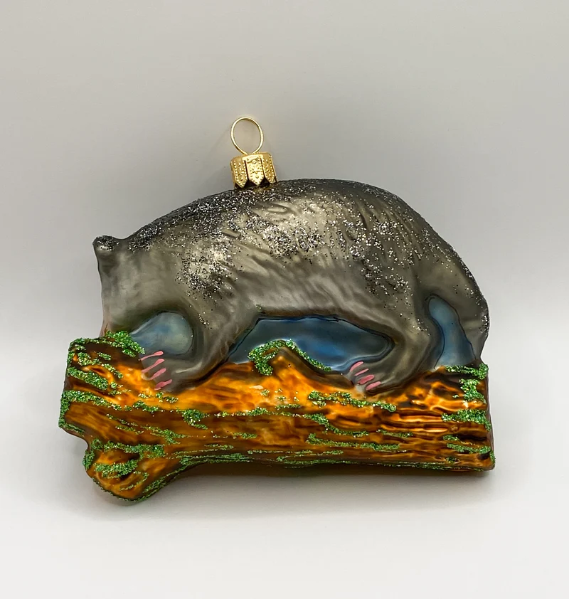 Opossum, Beutelratte