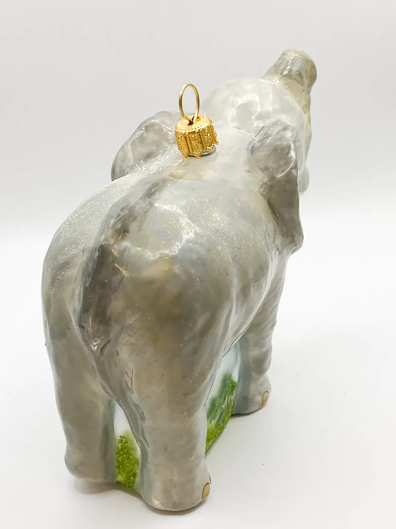 Elefant mit kleinen Stosszähnen