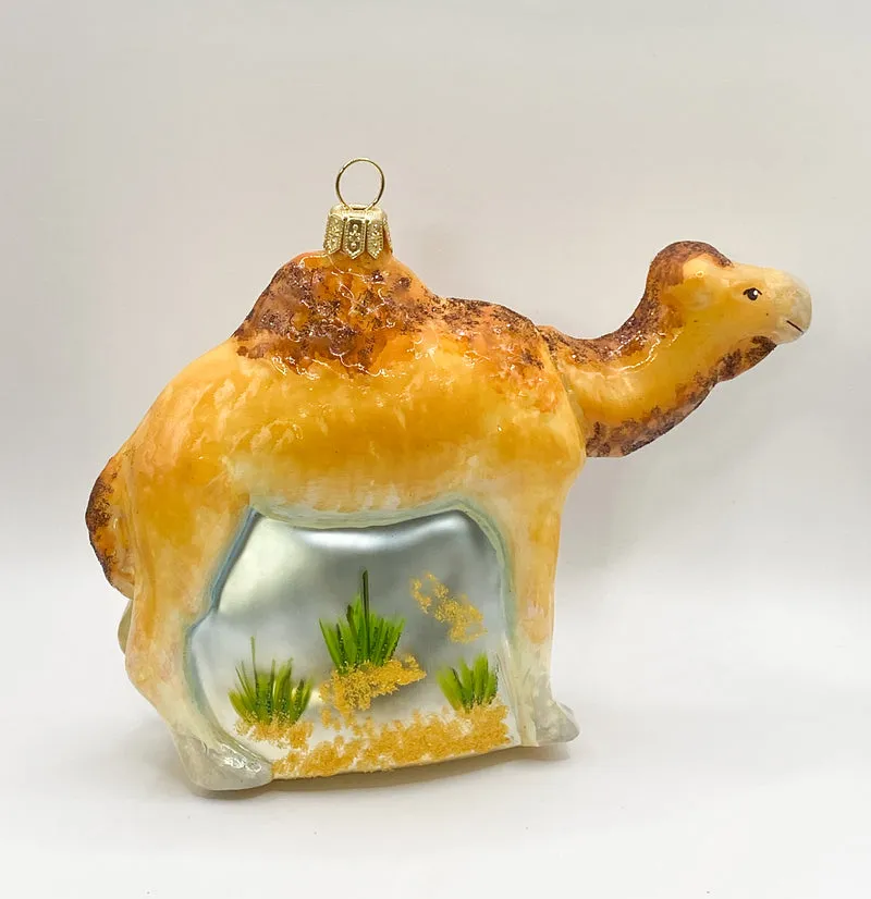 Dromedar, arabisches Kamel