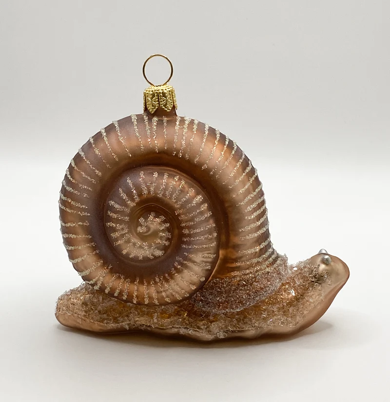 Grosse Schnecke mit braunem Häuschen