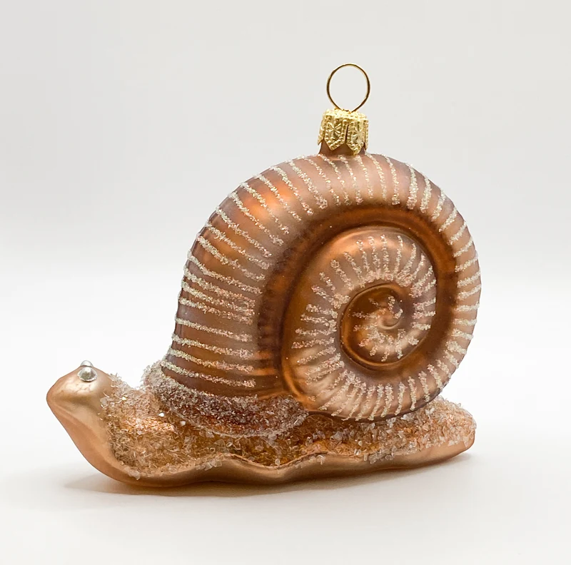 Grosse Schnecke mit braunem Häuschen
