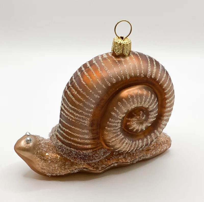 Grosse Schnecke mit braunem Häuschen