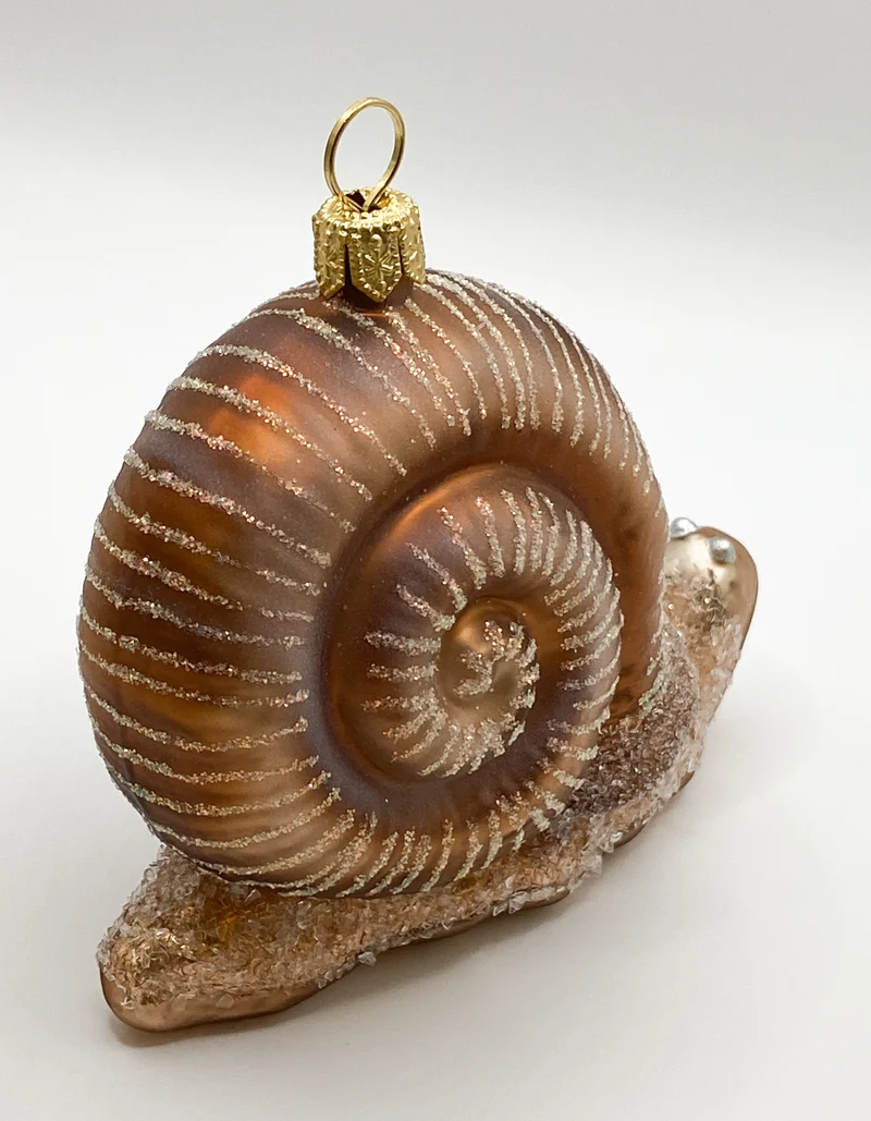 Grosse Schnecke mit braunem Häuschen