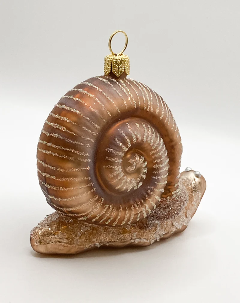 Grosse Schnecke mit braunem Häuschen