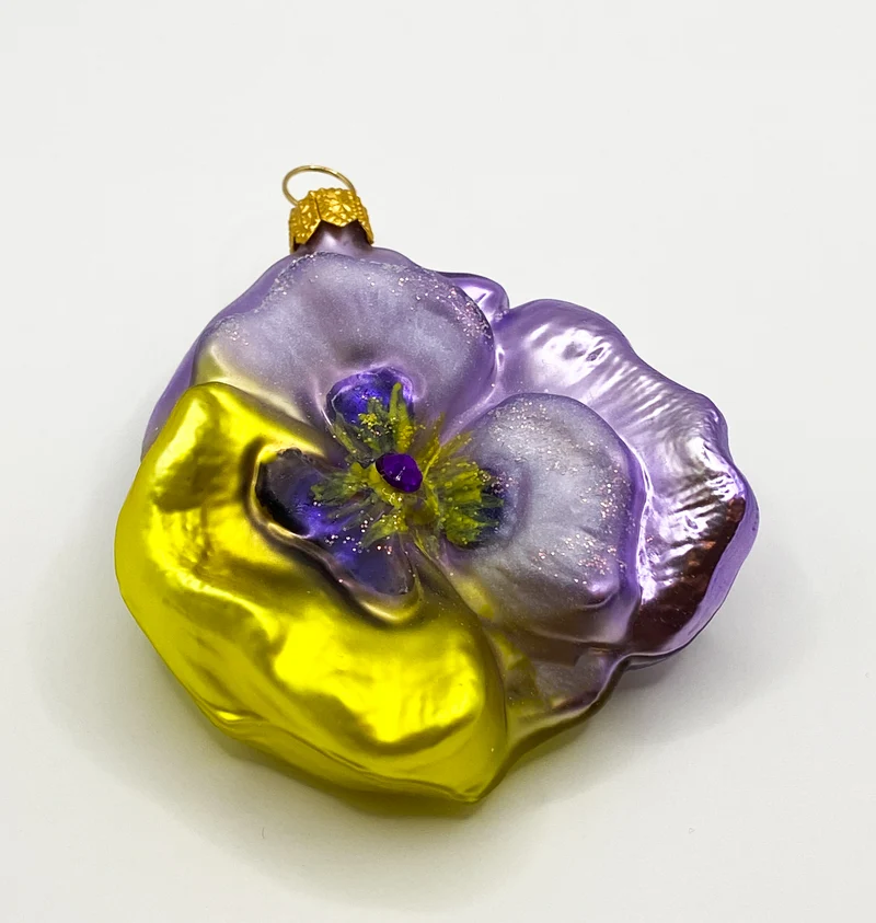 Stiefmütterchen lila und gelb, Pansy