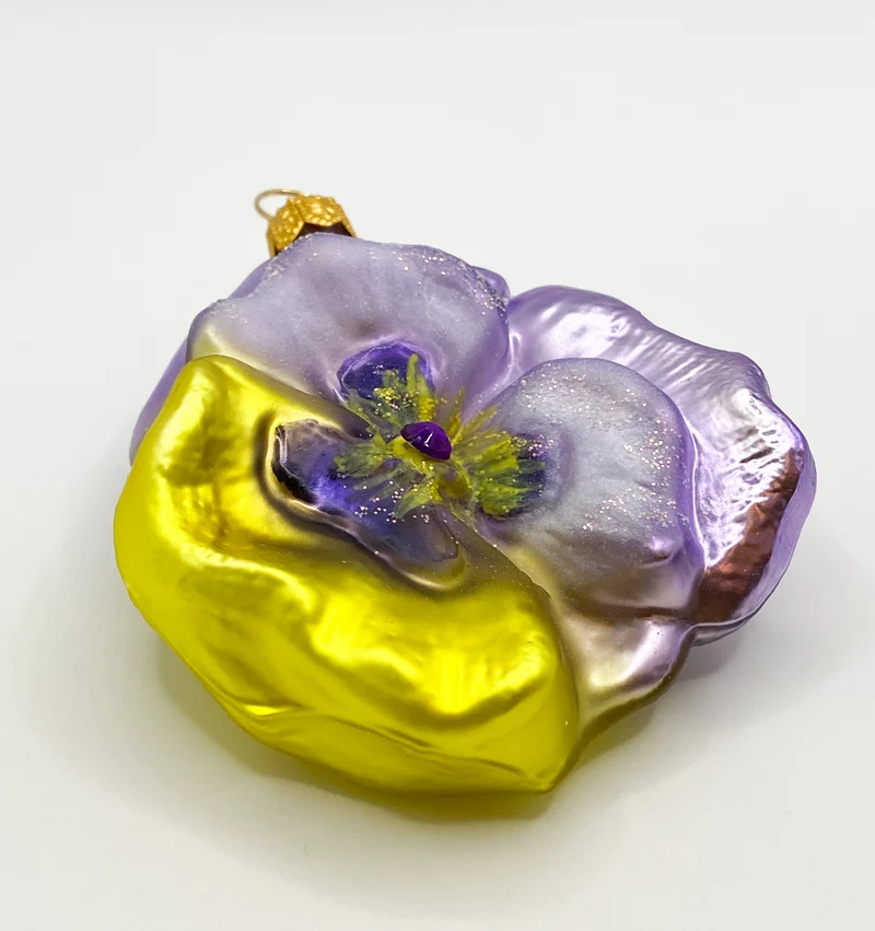 Stiefmütterchen lila und gelb, Pansy