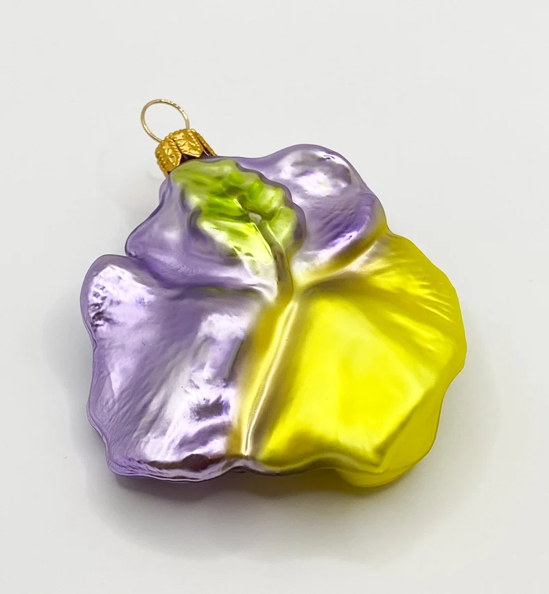 Stiefmütterchen lila und gelb, Pansy