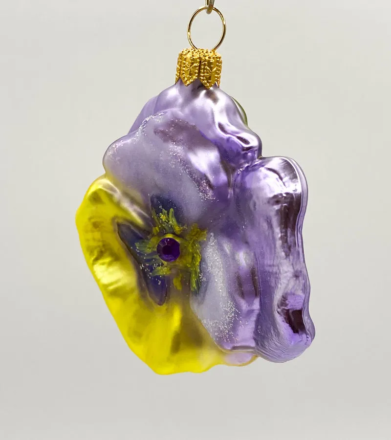 Stiefmütterchen lila und gelb, Pansy