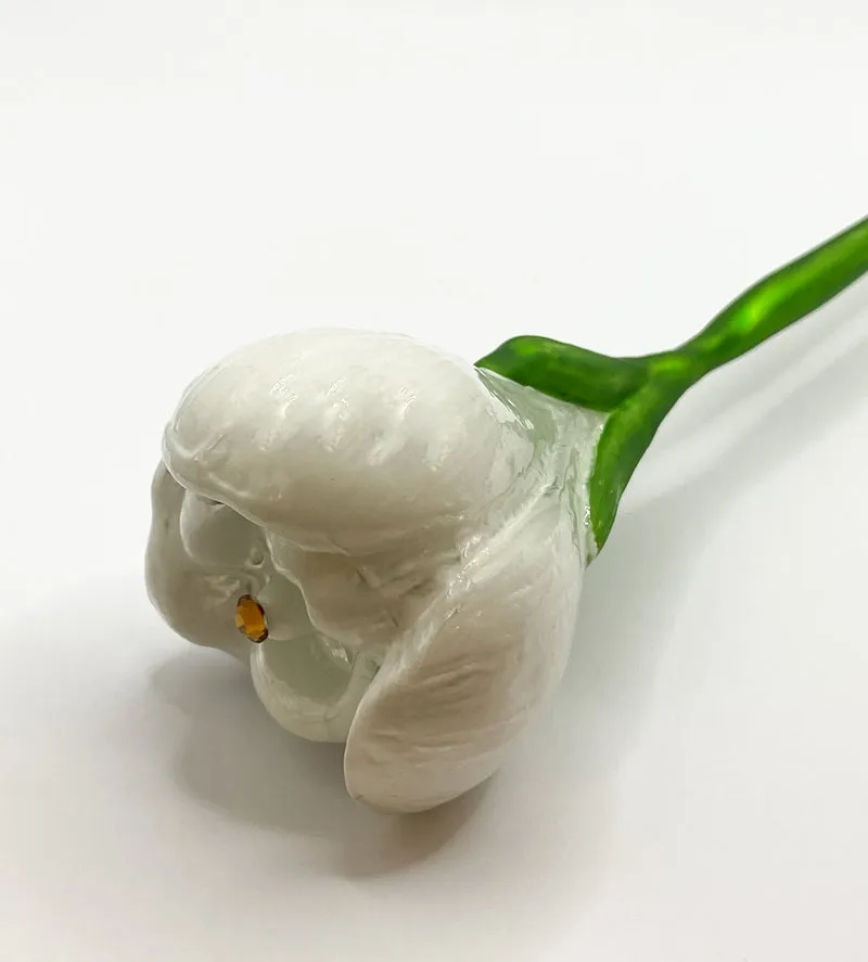 Krokusblüte weiss