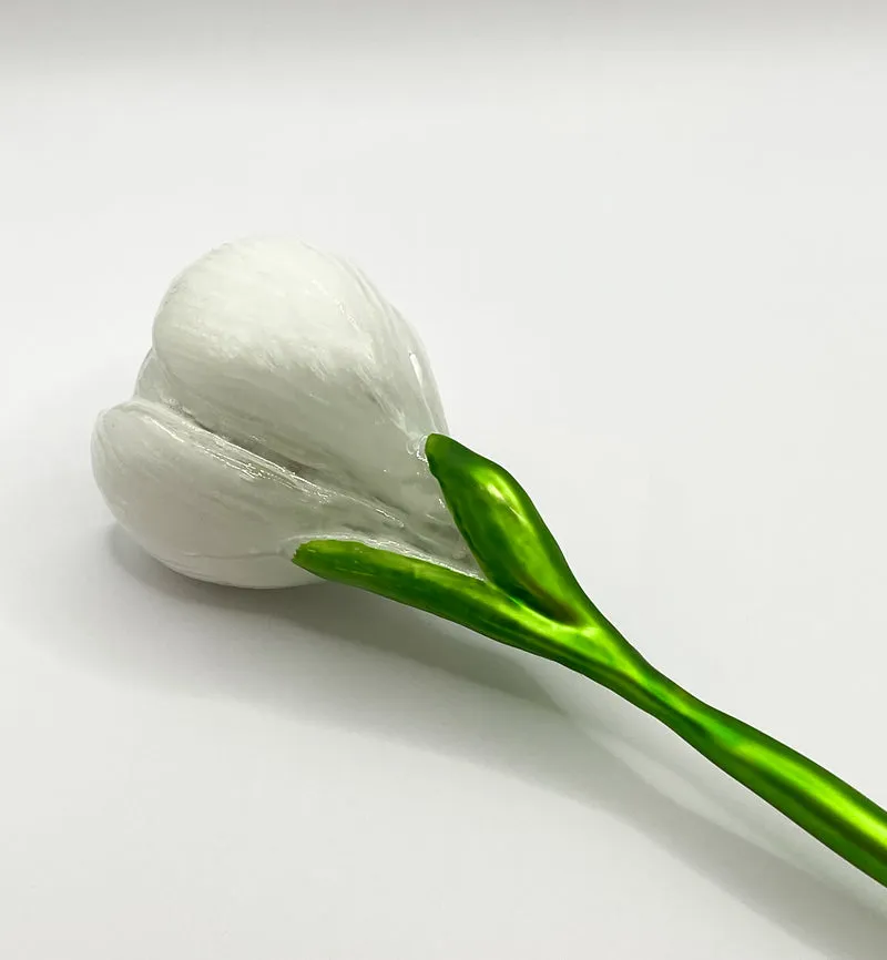 Krokusblüte weiss