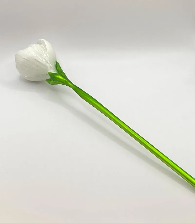 Krokusblüte weiss