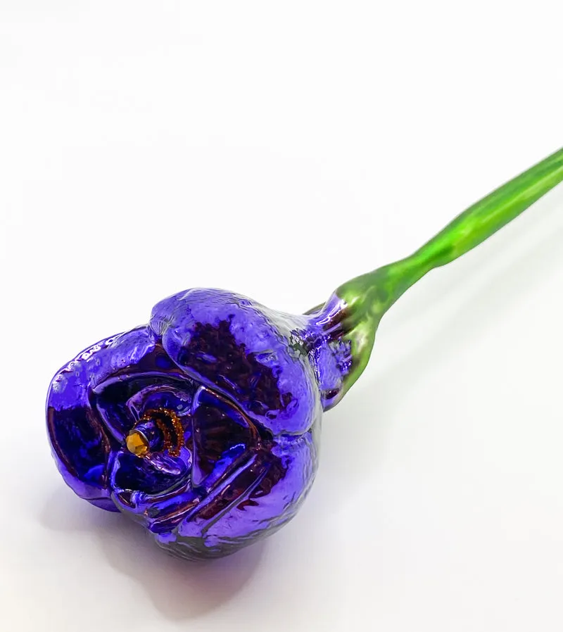 Krokusblüte violett