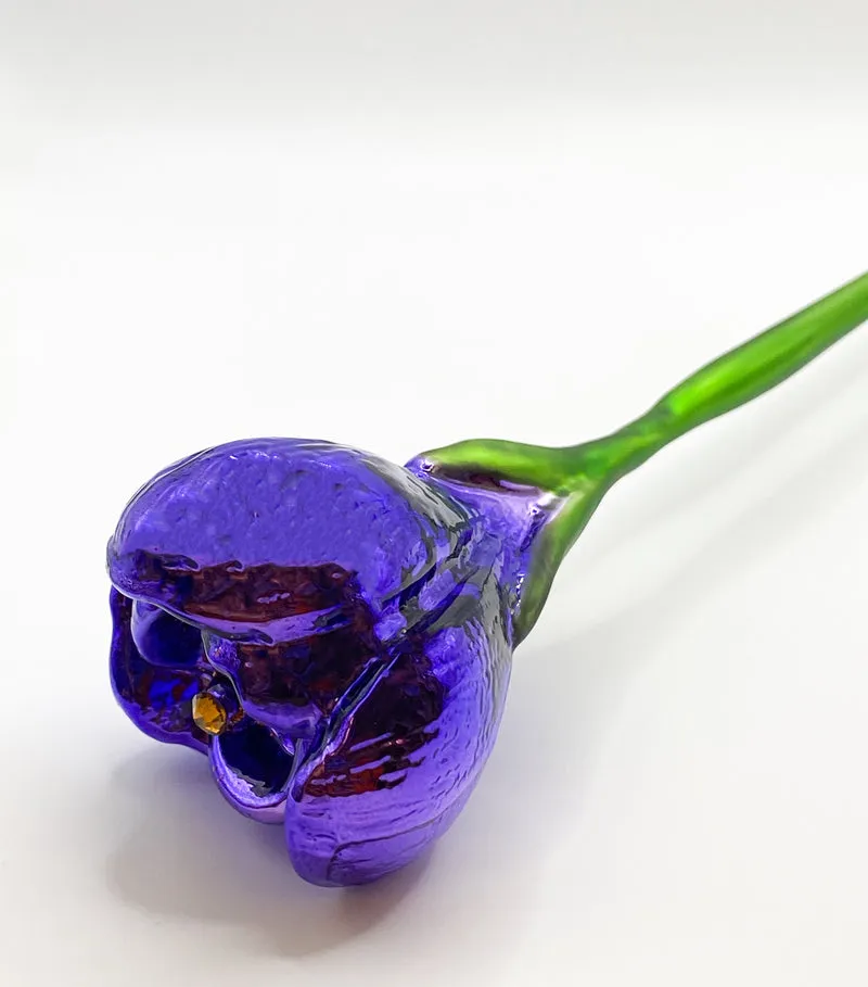 Krokusblüte violett